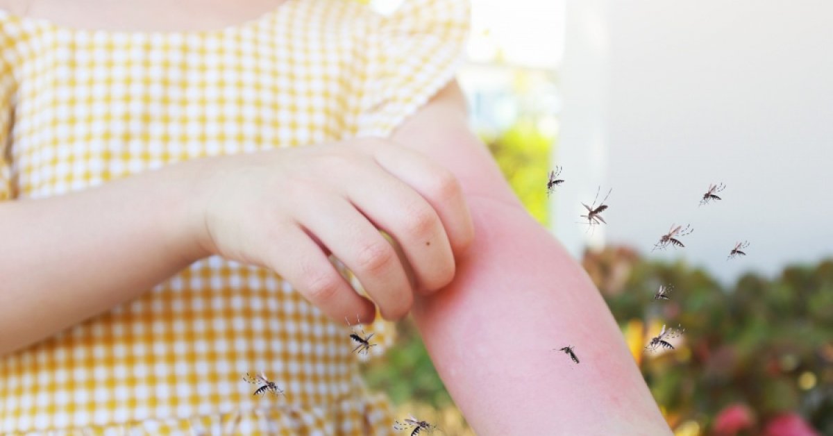 Anvisa alerta sobre repelentes adequados contra o mosquito da